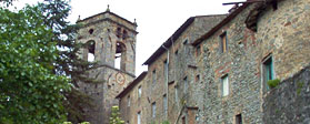 Medicina - Pescia